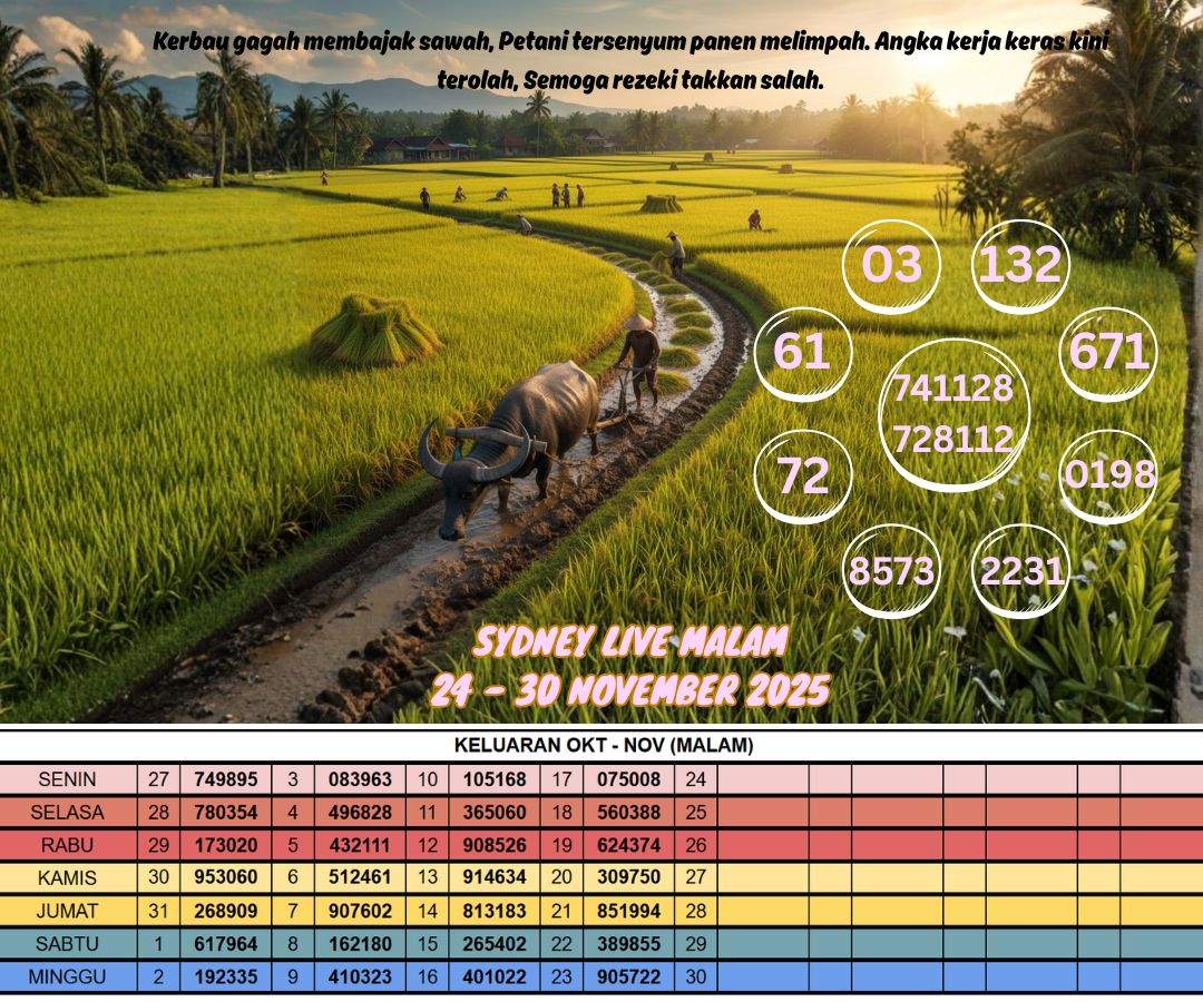 SYDNEY LIVE MALAM 24 - 30 NOVEMBER 2025
